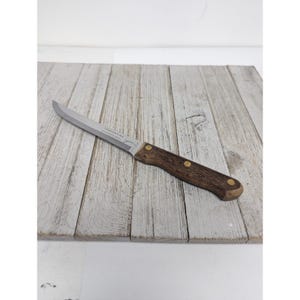 May include: A stainless steel knife with a dark brown wooden handle. The knife has a pointed tip and is designed for cutting. The handle is secured with three brass rivets. The knife is on a light gray wooden surface.