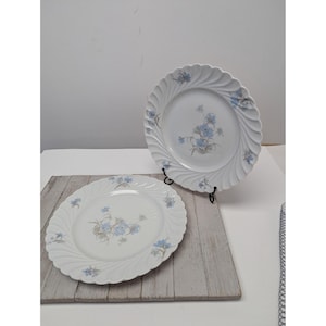 Haviland Limoges Bergere Set 2 Dinner Plates Vintage Blue Flowers France