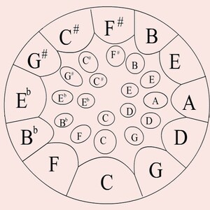 May include: A black and white diagram of a handpan, a musical instrument, with the notes labeled on each of the indentations. The notes are C, C#, D, D, E, E, E, F, F#, G, G#, A, A, B, B, and B.