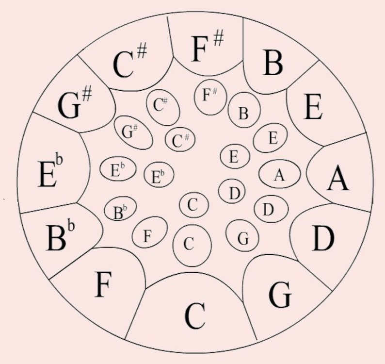 May include: A black and white diagram of a handpan, a musical instrument, with the notes labeled on each of the indentations. The notes are C, C#, D, D, E, E, E, F, F#, G, G#, A, A, B, B, and B.
