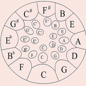May include: A diagram of a steel pan, a musical instrument, showing the notes of the chromatic scale. The notes are labeled with letters and sharps. The notes are arranged in a circle, with the note C in the center.