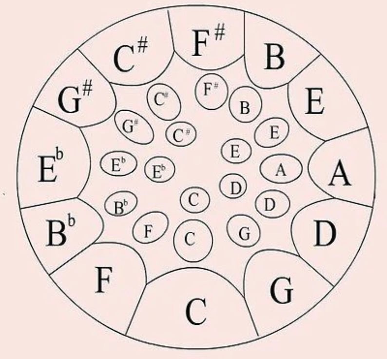 May include: A diagram of a steel pan, a musical instrument, showing the notes of the chromatic scale. The notes are labeled with letters and sharps. The notes are arranged in a circle, with the note C in the center.