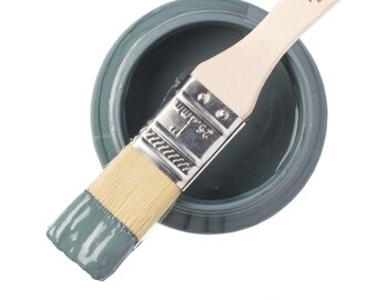 Homestead Blue Fusion Mineral Paint 16.9 oz