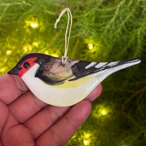 May include: A ceramic bird ornament with a red head, black and brown back, and yellow and white belly. The bird has a small loop for hanging and is held in a hand against a blurred green background.