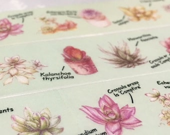 Succulent washi masking tape 10M fat plant Green plant potted plant washi tape plant diary garden gardening planner scrapbook gift decor