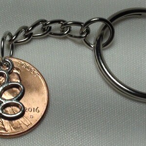Lucky Penny z zamkiem błyskawicznym na zamek, Lucky Penny, urok powodzenia, kochanka psa ciągnąć zamek, portmonetka Charms, spersonalizowane zamki błyskawiczne