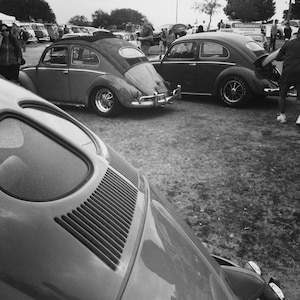 May include: Three vintage Volkswagen Beetles parked in a grassy area. The Beetles are all in black and white, and the one in the foreground has a large rear window.