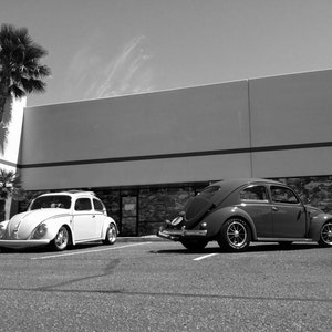 black and white Photograph of Volkswagen Beetles, VW photography, old car photography, vintage, hot rods, classic car, slammed cars, vw bugs