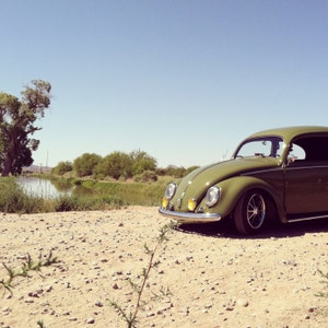 Color Photograph old Volkswagen Beetle, VW bug, old car photo, classic car, Volkswagen, desert, green car, water, nature, vintage car, oasis