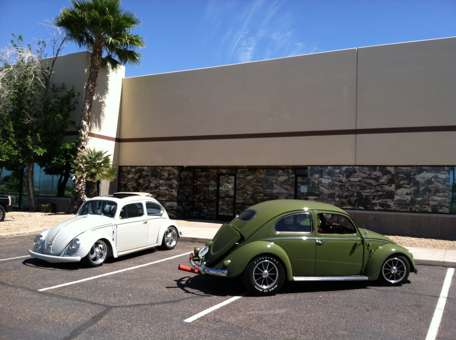 Picture of Volkswagen Beetle Show Cars VW Photography Old Etsy