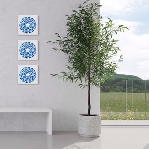 May include: Three framed blue and white abstract paintings hang on a white wall, with a potted green plant in front of a window.