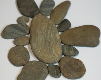 Guijarros naturales lisos del este de Tennessee para jardines zen, terrarios, acuarios y manualidades.