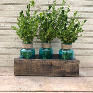 May include: Three green plants in blue glass jars with twine around the top of the jars. The jars are sitting in a dark brown wooden planter box.