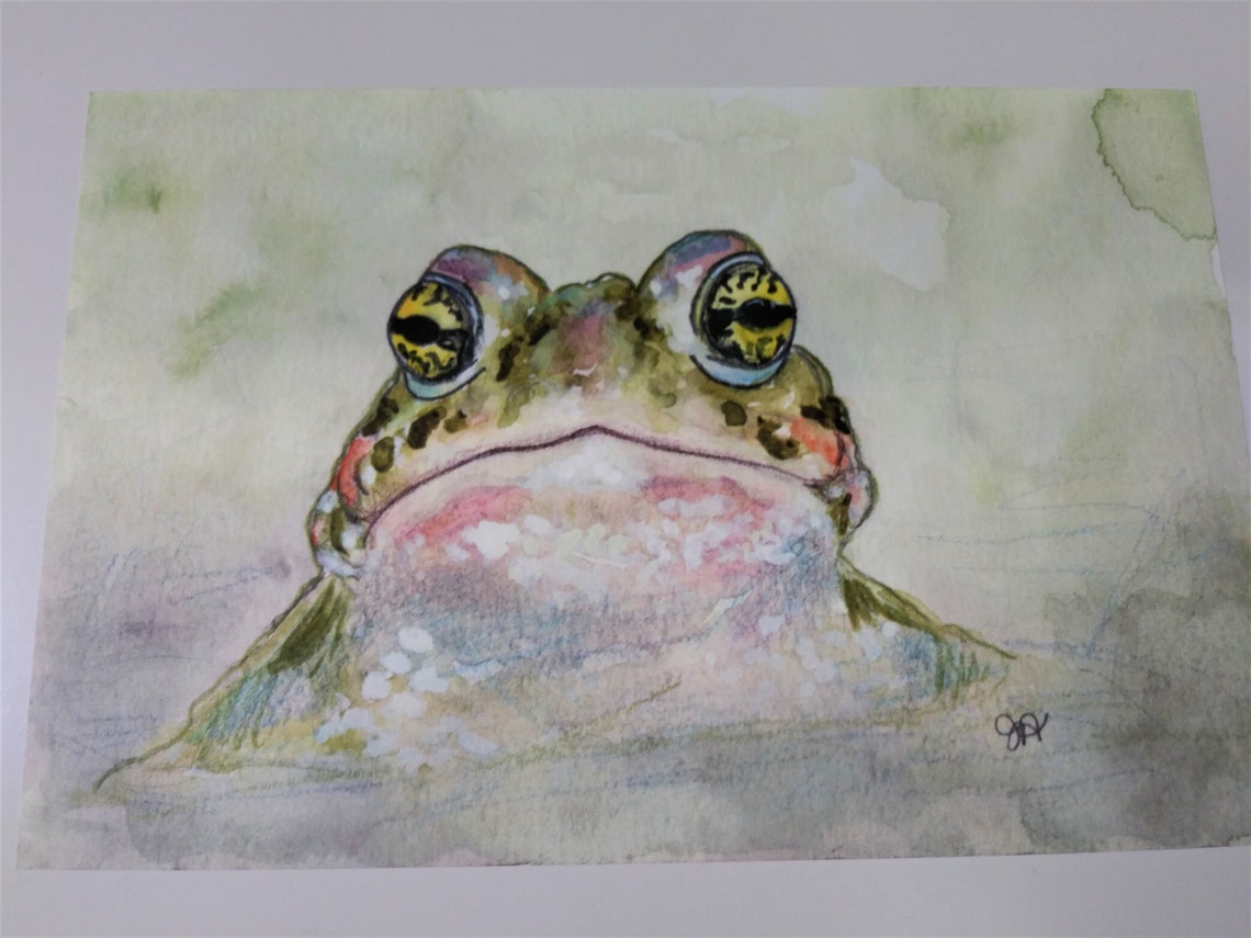 Watercolor Print Rainbow Toad Art Print Fine Art Print - Etsy