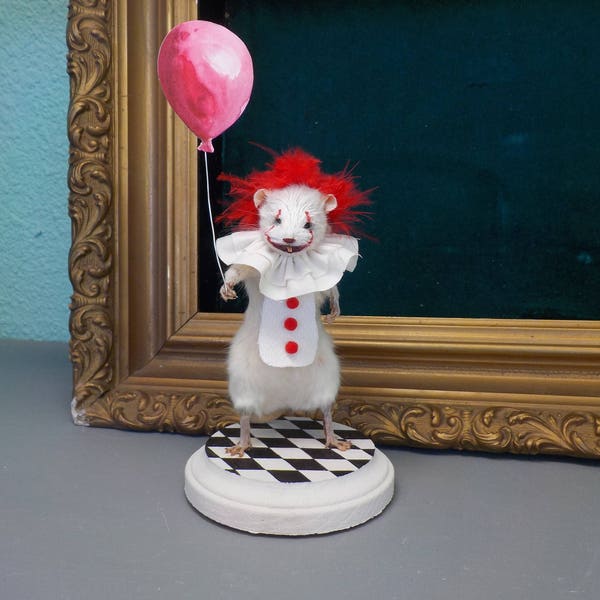 Pennywise taxidermie rat IT clown, rogue taxidermie, weird art, nieuwsgierigheid, enge Halloween clown sculptuur, antropomorfe rat/muis