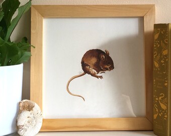 Field Mouse Painting, Field Mouse Print, Field Mouse Art, Field Mouse Ink Painting, Field Mouse Illustration, Fine Art Print, UK Wildlife