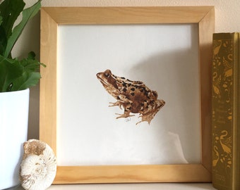 Frog Painting, Frog Print, Frog Art, Frog Ink Painting, Frog Watercolour, Frog Illustration, Fine Art Print, UK Wildlife