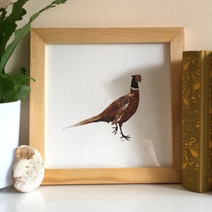 Pheasant Painting, Pheasant Print, Pheasant Art, Pheasant Ink Painting, Pheasant Illustration, Fine Art Print, UK Wildlife
