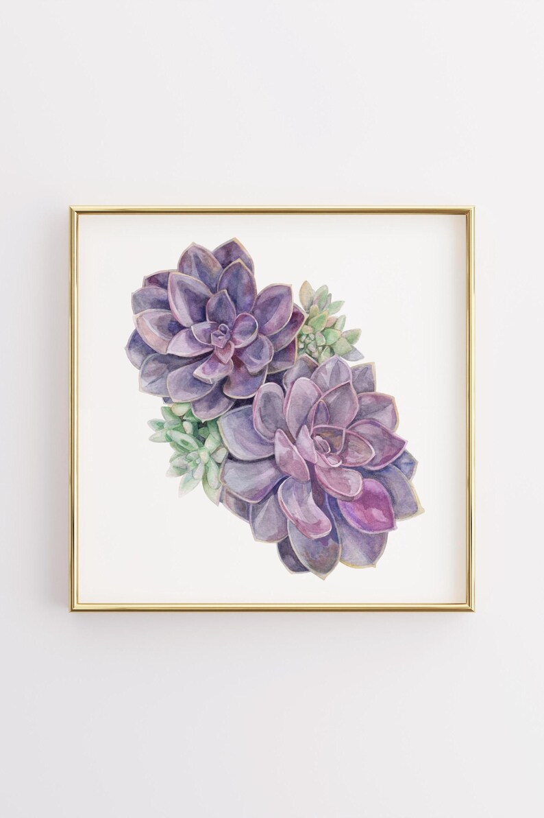 Succulent Watercolor Art Print – Pink and Purple Botanical Wall Decor ...