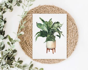 Peace Lily Watercolor Print, Botanical Plant Art, Minimalist Planter Decor