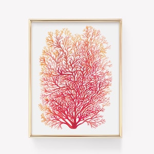 Coral Print, Coral Decor, Coral Reef Art, Red Coral Wall Art