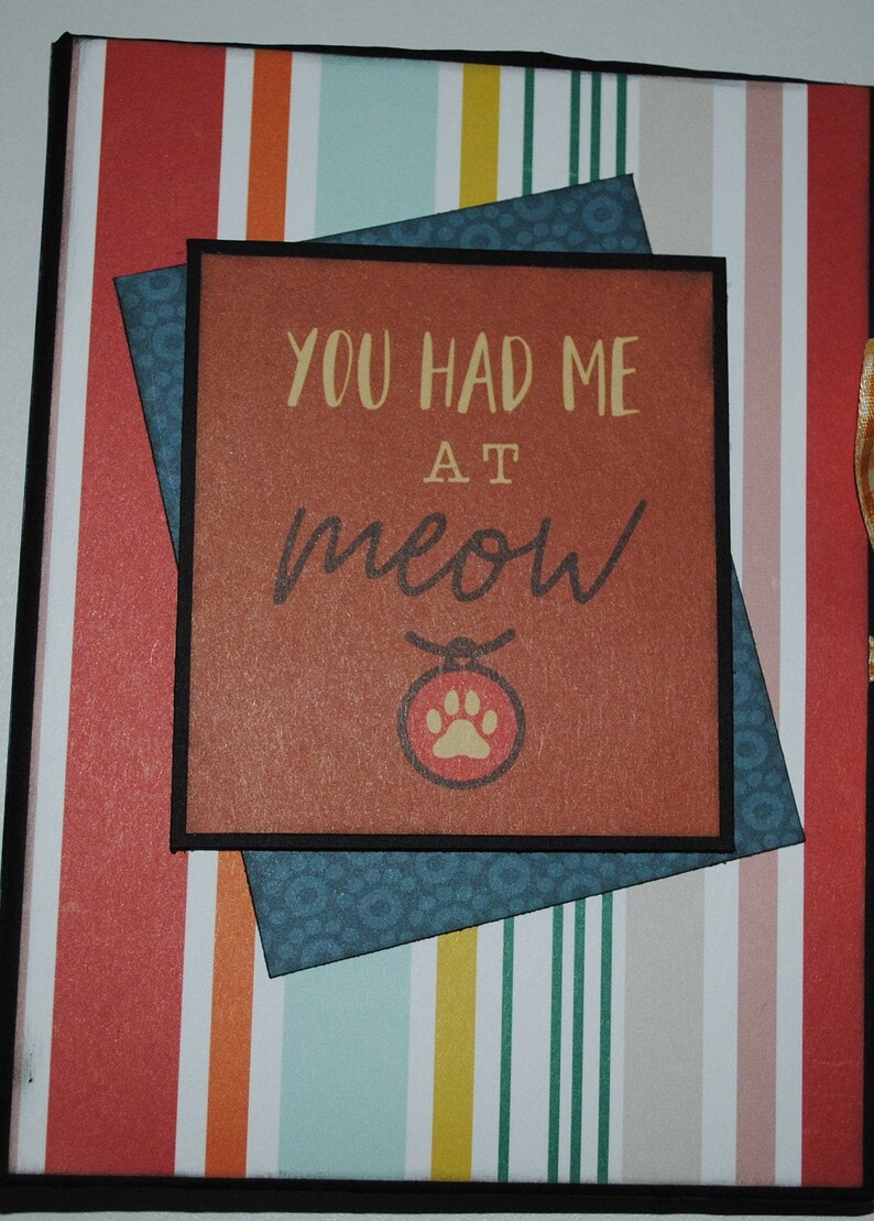 Cat Photo Book Photo Album Kitten Photo Album 4x6 Photos Etsy