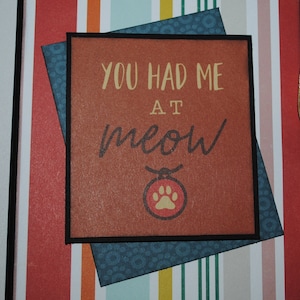 Álbum de fotos de gatos, álbum de fotos de gatitos, fotos de 4x6, gato nuevo, regalo para amantes de los gatos