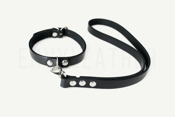 leather lead and collar
