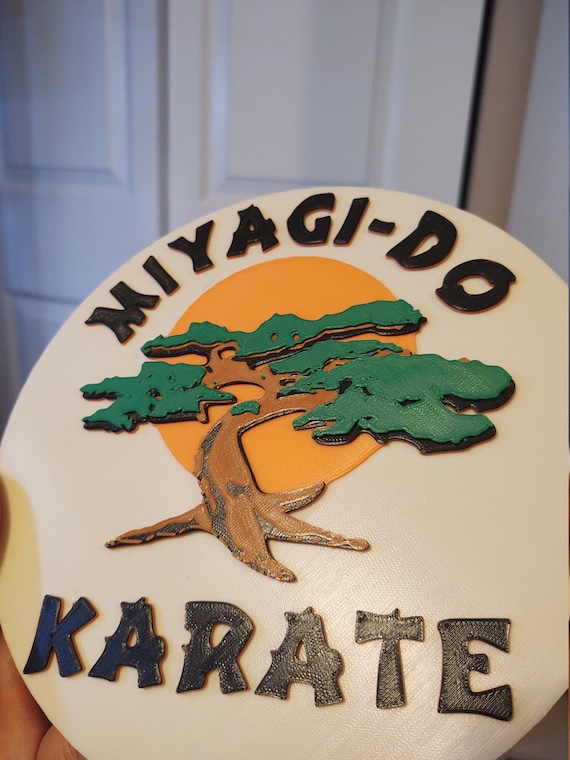 Miyagi Do Karate 8