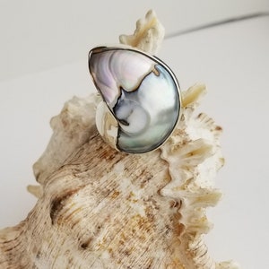 Gorgeous Shell Sterling Silver Finger Ring - Larger Size 12