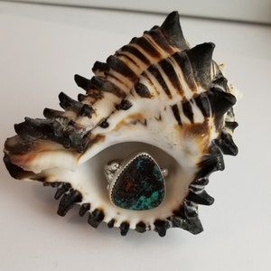 Blue Green Turquoise with Black and Brown Matrix-Triangular Shape Sterling Silver Finger Ring - Larger Size 12