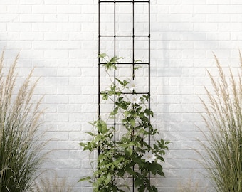 Enrejado de jardín ligero / Soporte de acero para plantas T710