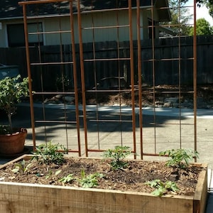May include: A wooden raised garden bed with three rusty metal trellises. The bed is filled with brown mulch and has several small plants growing in it.
