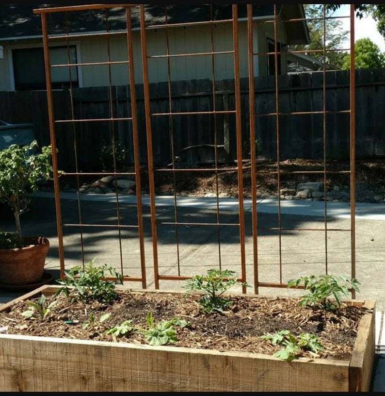 Metal Garden Trellis Heavy Duty Vegetable Trellis Etsy