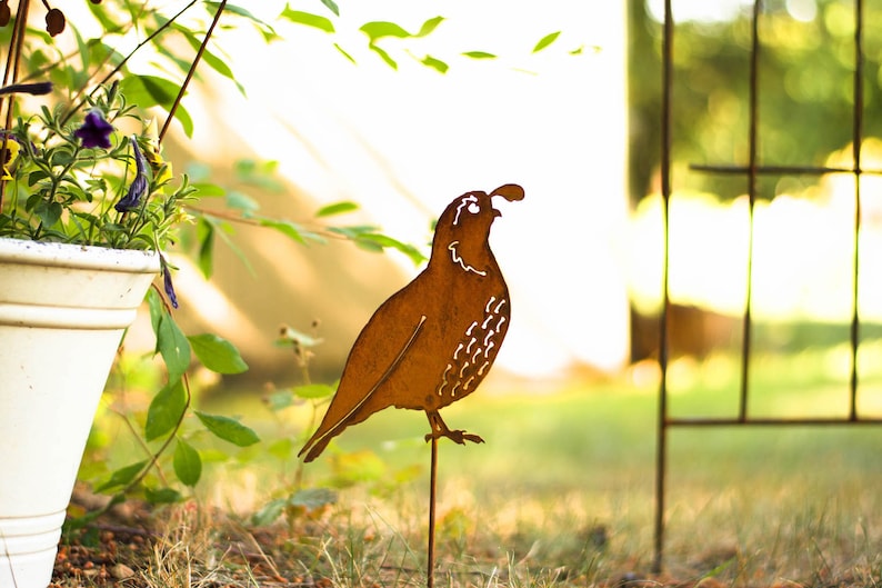 California Quail Garden Stake Metal Quail For Garden Etsy