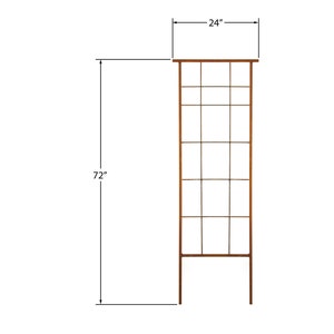 May include: A brown metal trellis with a rectangular frame and a grid pattern. The trellis is 72 inches tall and 24 inches wide.