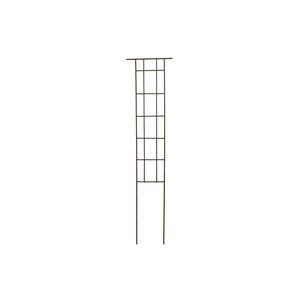 Plant Trellis, Light Duty Vegetable Trellis 60x13&quot;,  Vegetable Garden Support, Steel Garden Trellis That Will Rust Naturally | T710