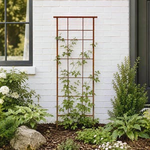May include: A tall, rectangular metal garden trellis with a rust-colored finish and a grid pattern. The structure is positioned vertically against a white brick wall, supporting a climbing green plant with thin stems and small leaves.