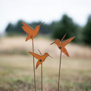 May include: Three rusty metal hummingbird garden stakes. Each hummingbird is a silhouette with outstretched wings and a long beak. The stakes are placed in a grassy field with a blurred background of trees.