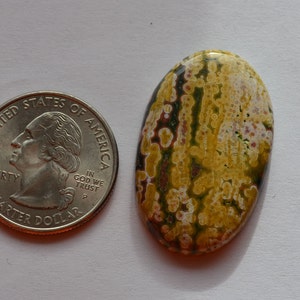 Ocean Jasper free form Cabochon