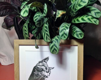 Cat Linocut Print, UK Artist, Limited Edition