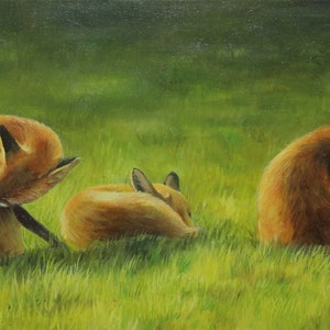 Puede incluir: Tres zorros rojos están tumbados en un campo de hierba verde. Los zorros están todos mirando en la misma dirección y se están acicalando. El zorro en primer plano se está acicalando la cola, mientras que el zorro del medio se está acicalando la espalda y el zorro del fondo se está acicalando la cabeza.