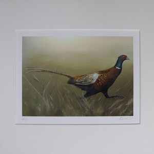 Running Pheasant Painting Fine Art Print, Limited Edition Giclee, Uk Wildlife Wall Decor