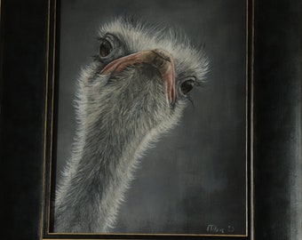 Ostrich portrait, Bird lovers, Animal Art