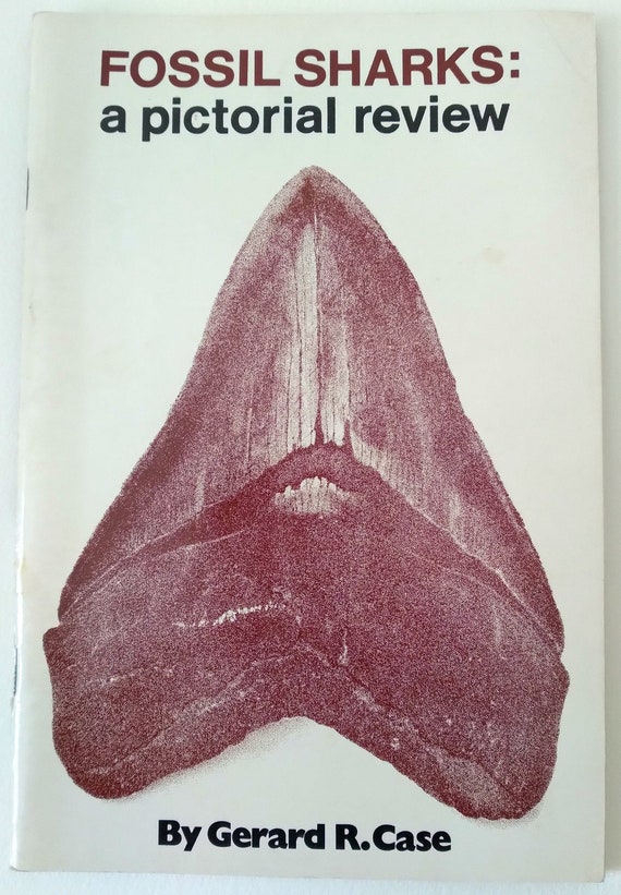 amateur collector fossil handbook texas Porn Pics Hd