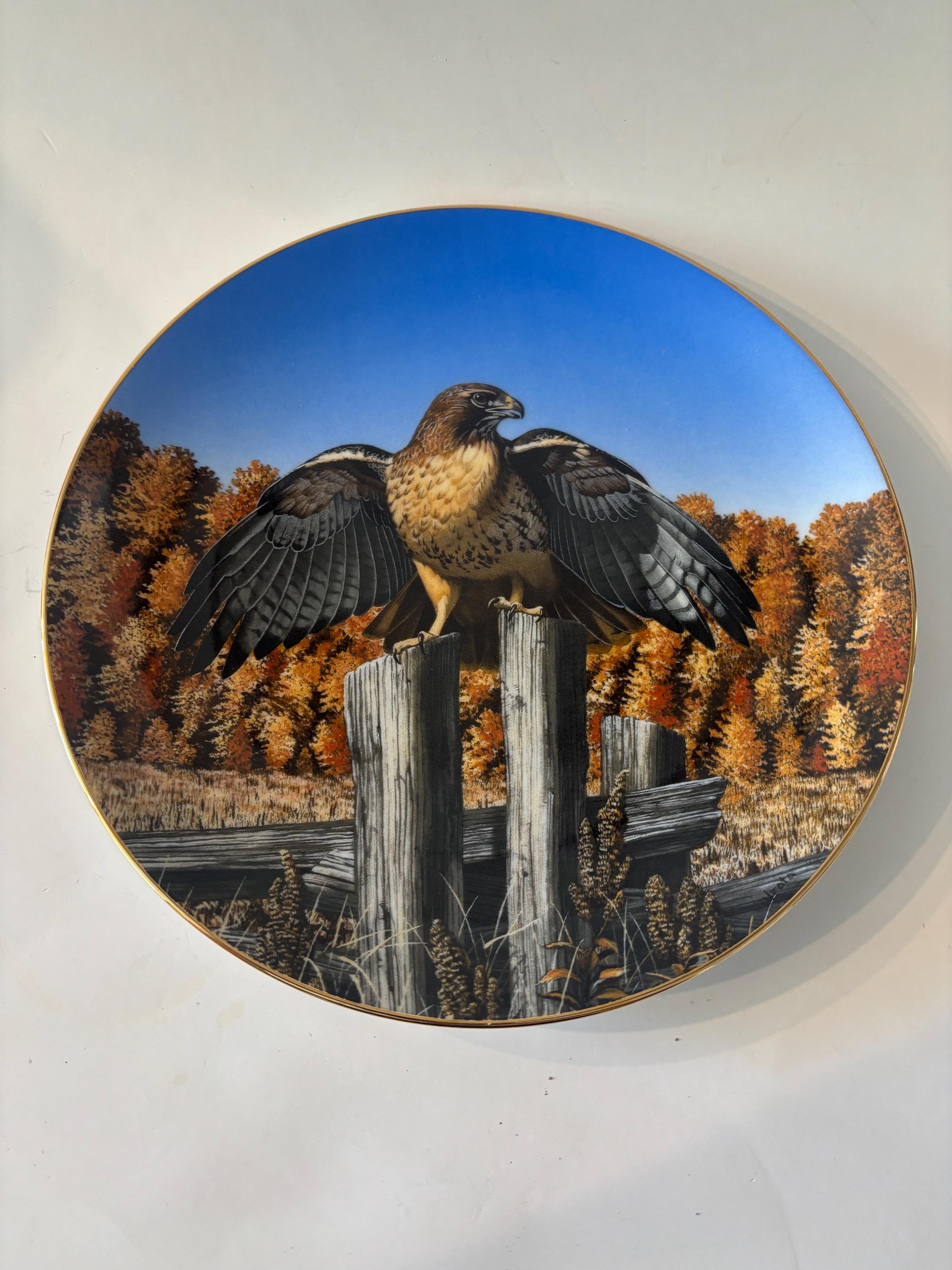 Hawk Plate 1988 Hamilton Collection Red-tail Hawk Plate Thomas Niata Realm of the ...