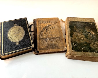 Antique Victorian Book Lot 1800s Youth’s Keepsake Bobbsey Twins Practical Speller Decor