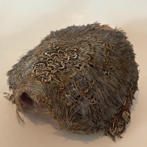 May include: A dome-shaped decorative item made of brown and tan feathers. The feathers have intricate patterns and textures, creating a natural and organic appearance. The item appears to be a hat or headpiece.