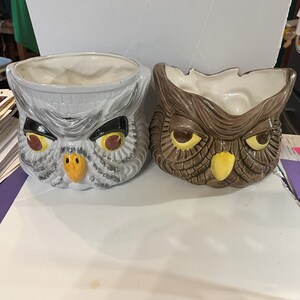 May include: Two ceramic owl planters, one white with gray and black markings and yellow eyes, the other brown with yellow eyes. Both have yellow beaks.