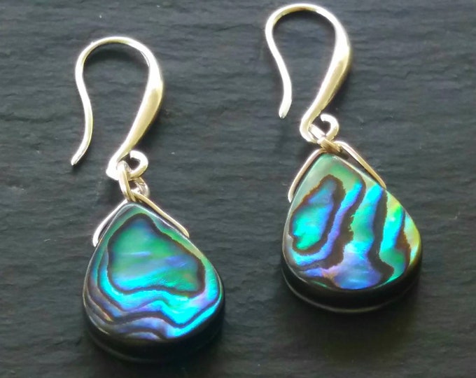 Real Abalone Earrings Sterling Silver Earrings Abalone Jewelry - Etsy